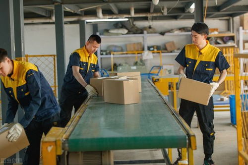 进工厂还是送外卖 哪个更赚钱？年轻人如何选择